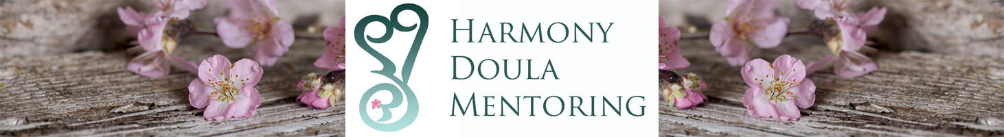 Harmony Doula Mentoring